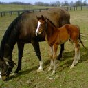 Douglas Arnold - @dsarnoldjr - Twitter