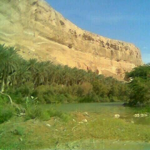 الحكمه يمانيه .