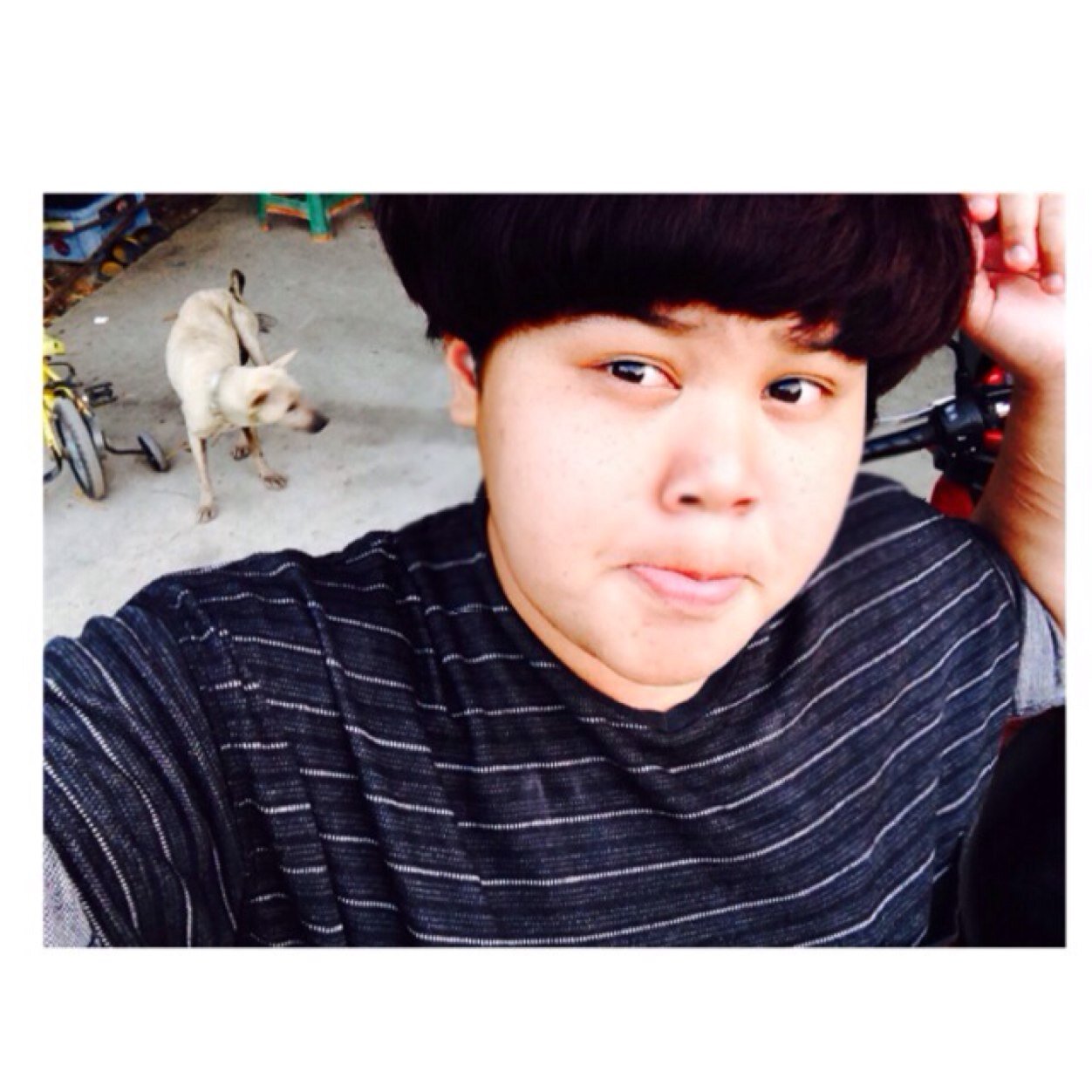 PhiZpalm's profile picture. ปาล์ม ปาล์มมี่ พิซปาล์ม  :D
http://t.co/o31NTe3e6I