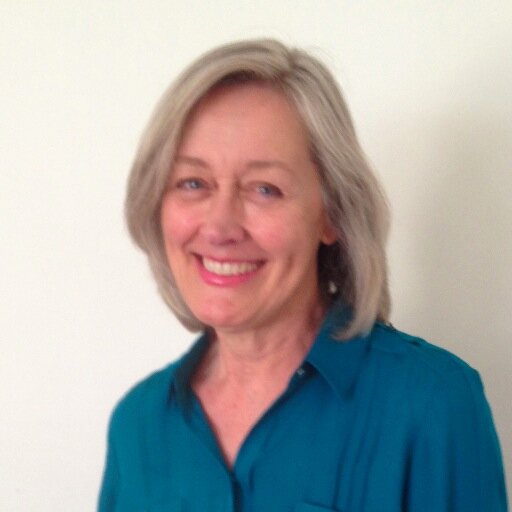 Educator, Social-Emotional Learning, Moral Development, Empathy, Civic Engagement and Education