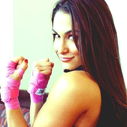 Be proud of who you are. -Eminem❤️ @nicoleandbri are perfect, @cmpunk will forever be my inspiration.