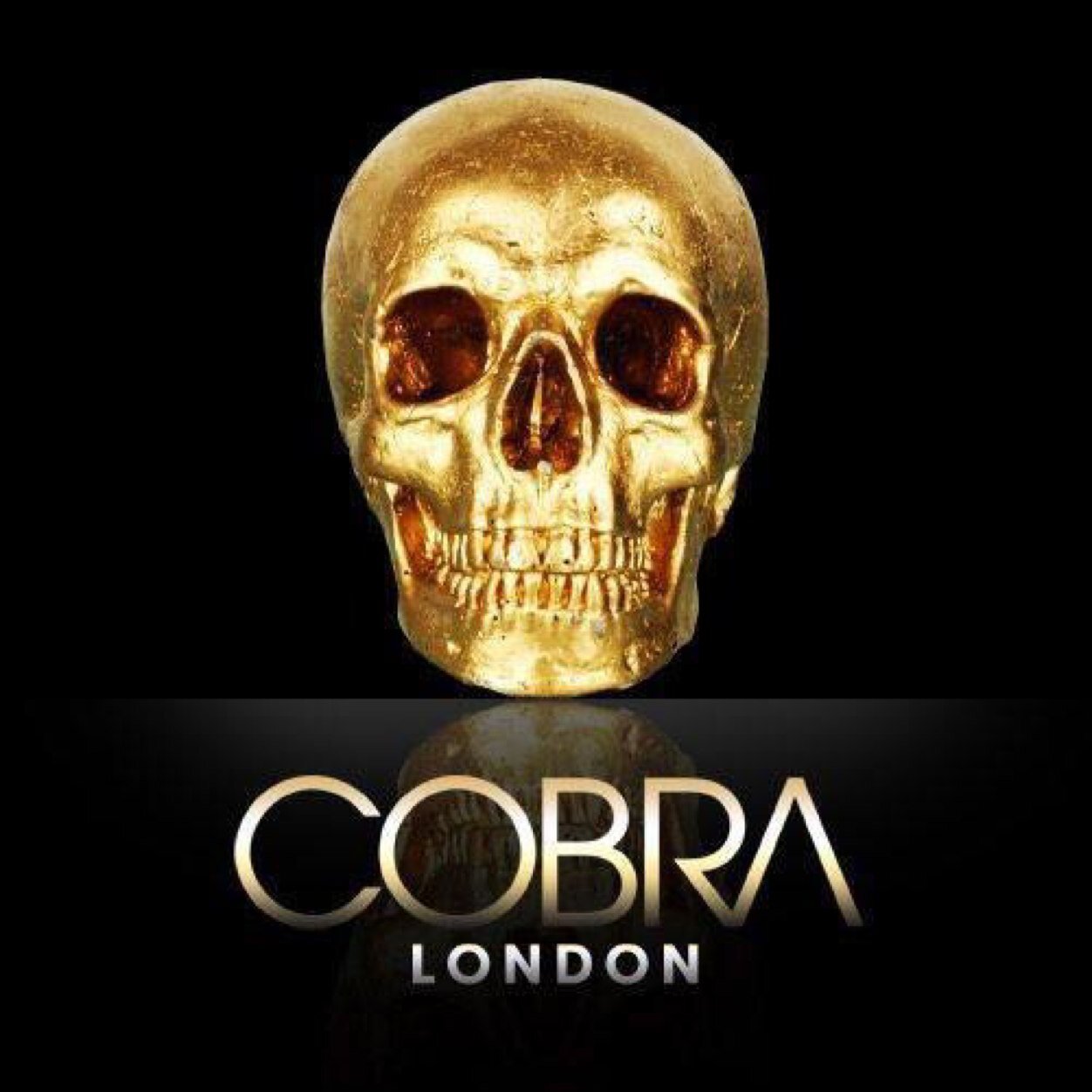 Cobra, London's Premier Dance Club. Featuring an Alpha Dynachord Sound System & state of the art LED Production. DJMAG #44 2012