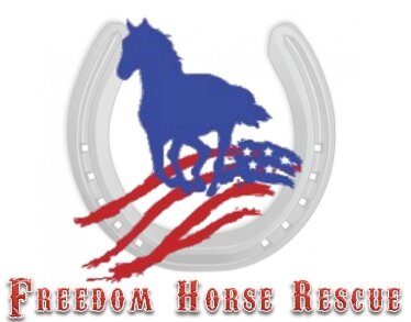 Non-Profit Horse Rescue. We Rescue, Rehabilitate and Re-home horses in need. http://t.co/7h8rF4Kdd8