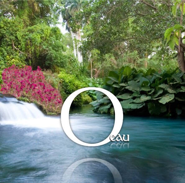 Jardín de eventos.