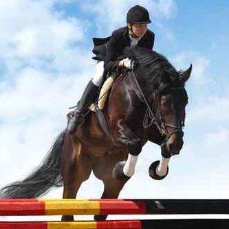 Caballos de Equitacion en Venta Argentina :)