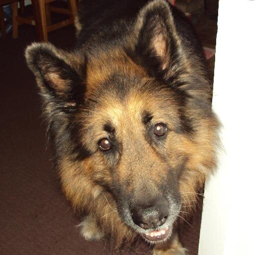 gamzpro13's profile picture. subscribe to WeAreGameingLegands