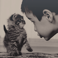 pythonlinux's profile picture. 