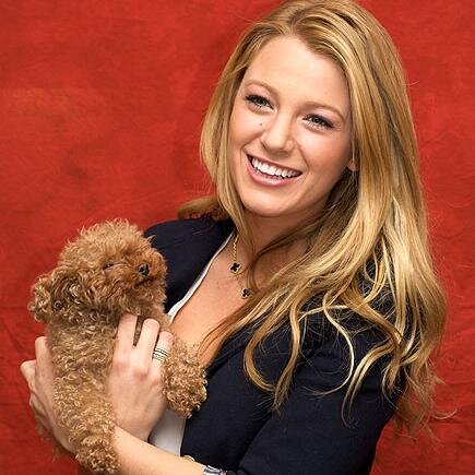 emilyross_0's profile picture. Help us to spread a word about our crowdfunding campaign http://t.co/Qcxy5Ja3Tn