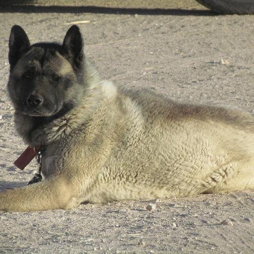 bettykm72's profile picture. Work at Winkler County News.  I have one beautiful grandson and daughter. One amazing man in my life.