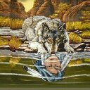 Raven Rollins - @wolflover562 - Twitter