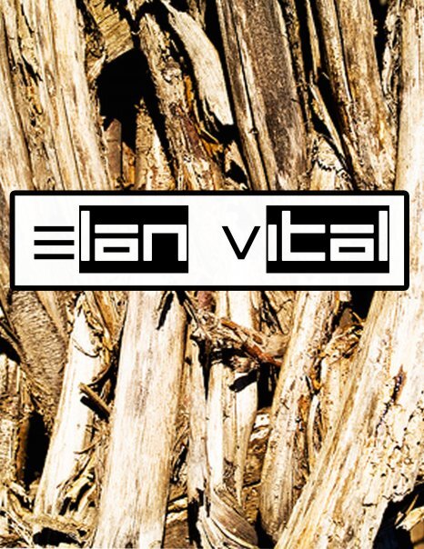 Diseños y Creación de Muebles Estanterías Módulos Bibliotecas / Arte / Decoración / Remodelaciones! Instagram: @elanvital.art