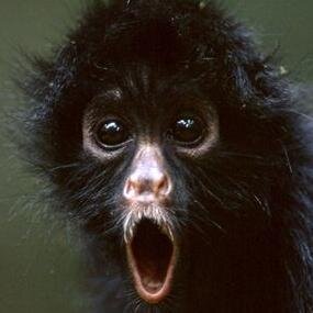 I need some followers...