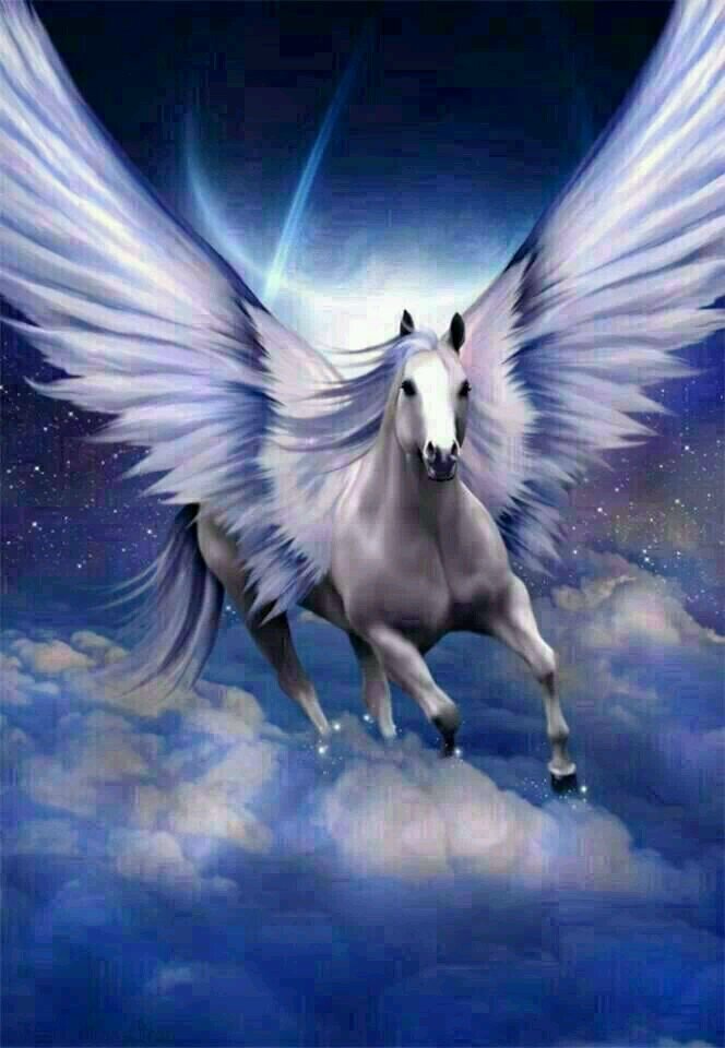Luz Divina Gabarri D Gabarrid Twitter