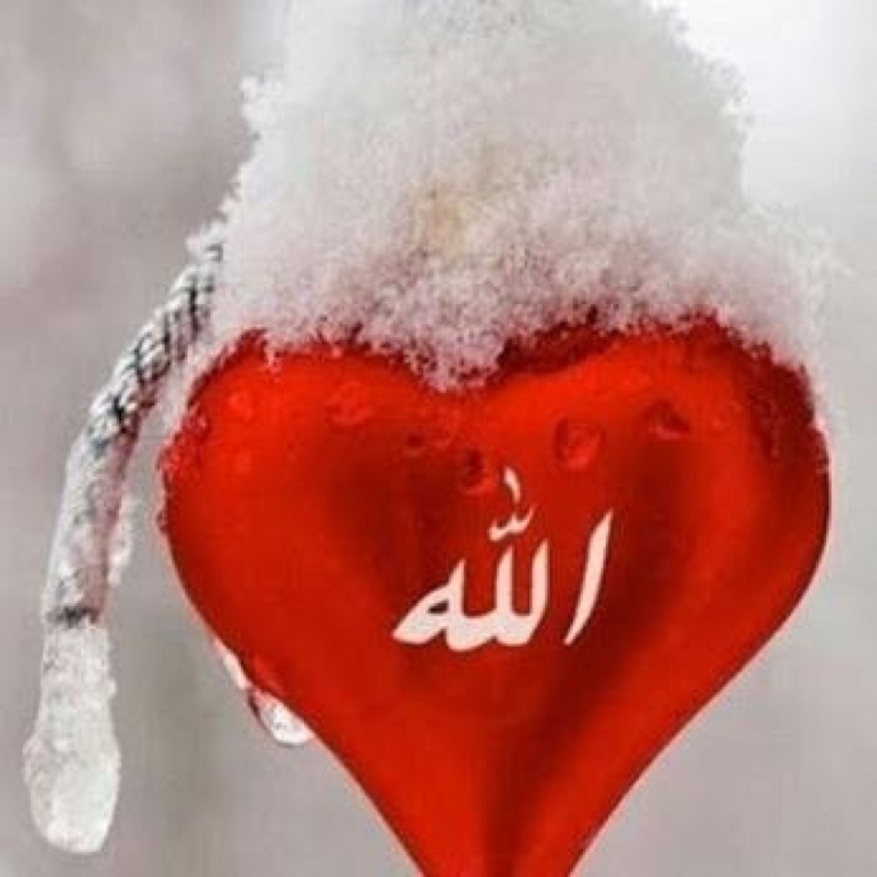 Kalbi ALLAH c.c. için Atan, Peygamberimiz Hz.Muhammed Mustafa s.a.v.'e Komşu Olabilmek için Yaşayan, Üstad'ım Bediüzzaman Aşığı, RTE Sevdalısı