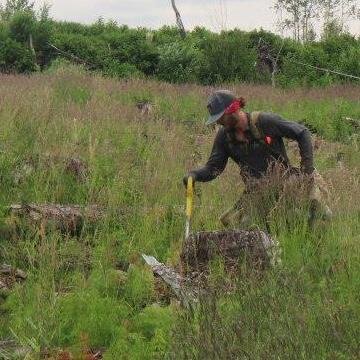 Treeplanter and Soil Prospector, tweeting live from the clearcuts of British Columbia, Canada. 

#treeplanting #reforestation #silviculture #forestry