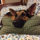 Michael Lapierre - @LapierreCox - Twitter