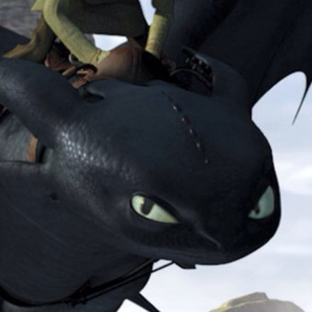 Im a Nightfury, but to my owner Hiccup im called Toothless. Im quick,and very dangerous.| I dont need love...|