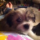 Tracey Golden - @TraceyBoswell61 - Twitter