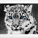 maximo miranda - @maximomiranda9 - Twitter