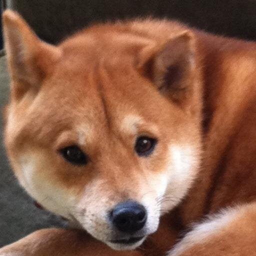 TwigDaGreat's profile picture. 