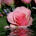 شذى الورد (@0555689970) Twitter