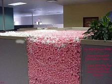 funny and sometimes odd things happen within an office cubical, here you'll get the chance live the dream.....through me