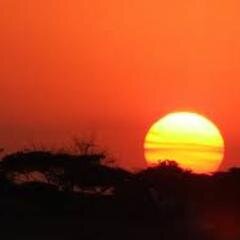 DAScomplaints's profile picture. Showing the world the reality behind Digital Air Strike