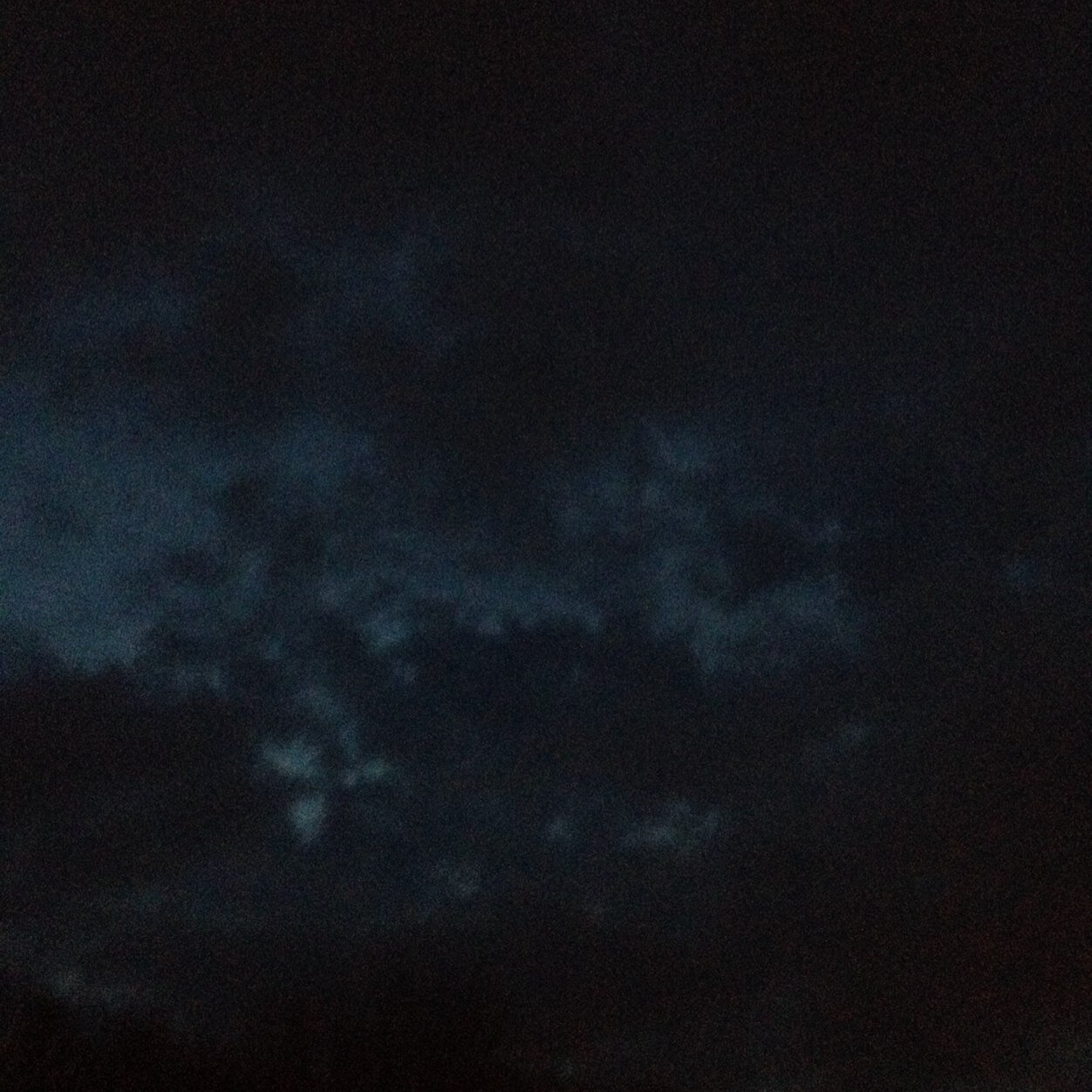 ericpublee's profile picture. Just a famous person. Pro bongoist. Pro cat actor. follow me on vine