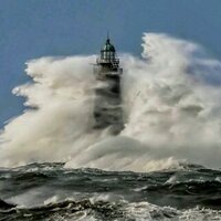 Mary Cleary (@zendallamc) 's Twitter Profile