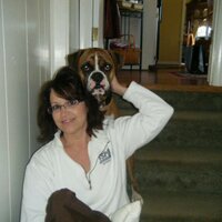 Cheryl Shaver - @kays0500 Twitter Profile Photo