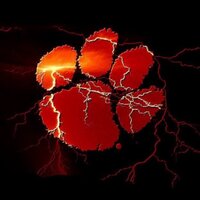 Syd Wilson (@papabeasyd) 's Twitter Profile