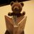 Bonvoyboy's profile image