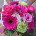 MEDIA FLORIST (@mediaflorist) Twitter profile photo MEDIA FLORIST (@mediaflorist) Twitter profile photo
