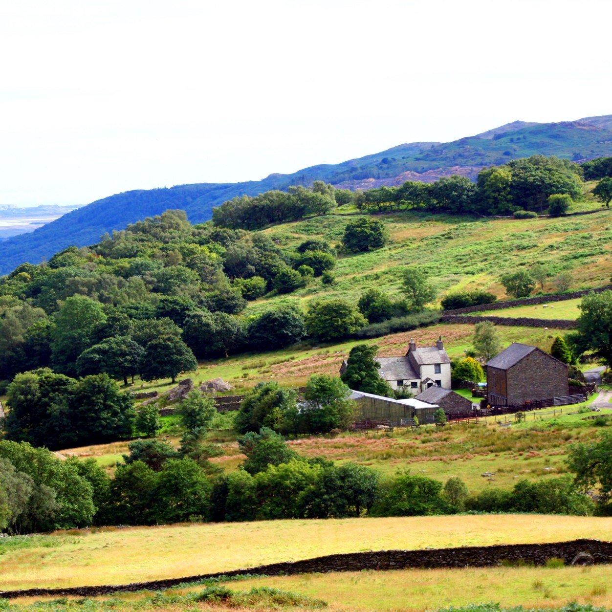 fellfarmer1's profile picture. We are a traditional fell farm offering school trips we also have two self Catering holiday cottages.