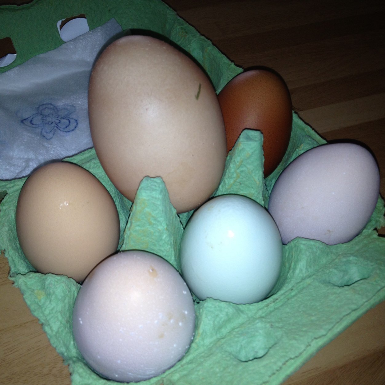 DianeRo92044546's profile picture. 