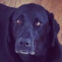 Riley Koch - @nuzzzyy - Twitter