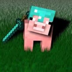 Me, I'm a gamer,(retired) minecrafter, and a youtuber so follow me for some crazy shit