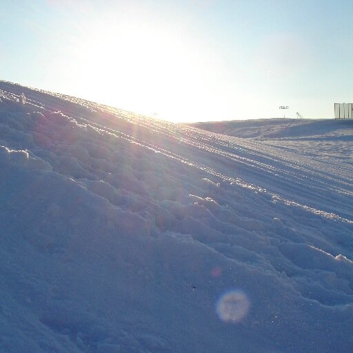 TriciaKittleson's profile picture. 