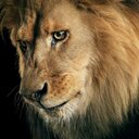 Tyrone Lyons - @lyons_tyrone - Twitter