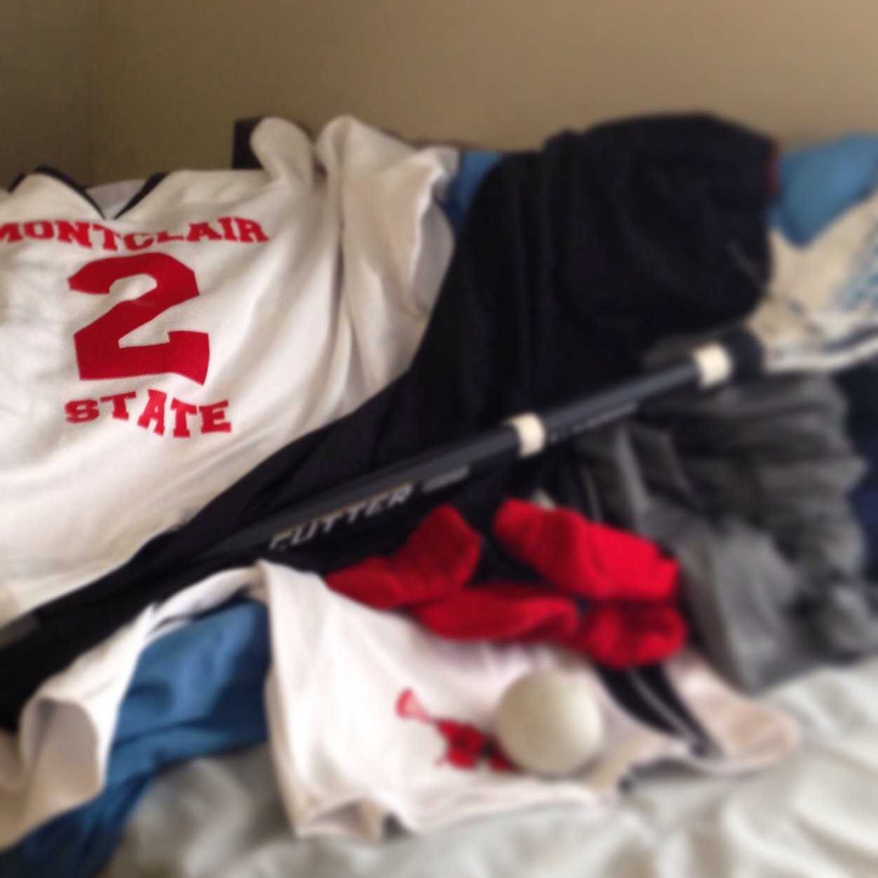 MSU Club Lax. NCLL NY Metro Division.