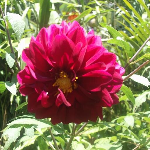 kaludiapirit's profile picture. Naughty by Nature