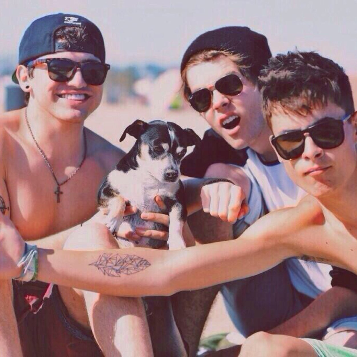 02l_fangirl's profile picture. Youtubers ruined my life 0/6