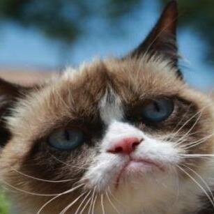 @InspireCOD @Phantonic @BasedMeow @FluffyPanda223