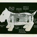 Evan Babb - @mapbabble - Twitter