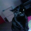 Bella - @BellaSolano - Twitter