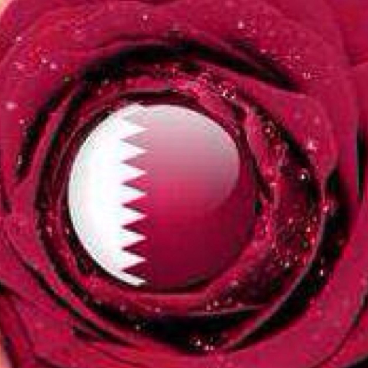 +974 ♥