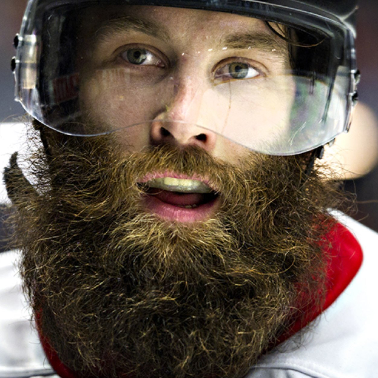 JDrabant's profile picture. 