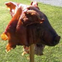 Patrick Peters Jr - @PatrickPetersJr - Twitter