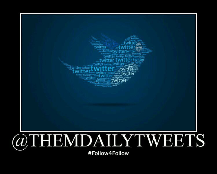 ThemDailyTweets's profile picture. We Follow Back