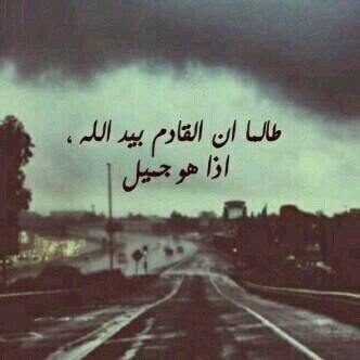 PIN:25FF1F77